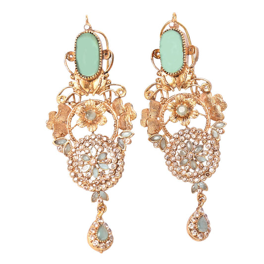 Elegant Stones Party Earrings