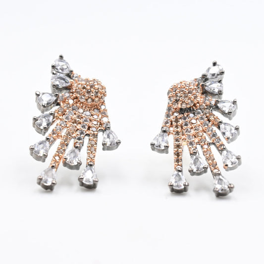 Sparkle and Shine Crystals Decorated Earrings